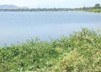 பெள்ளாதி குளத்தில் படகு இல்லம் அமைக்க கோரிக்கை  வேலைவாய்ப்பை உருவாக்கவும் மக்கள் வலியுறுத்தல்