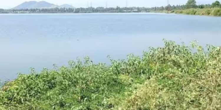 பெள்ளாதி குளத்தில் படகு இல்லம் அமைக்க கோரிக்கை  வேலைவாய்ப்பை உருவாக்கவும் மக்கள் வலியுறுத்தல்