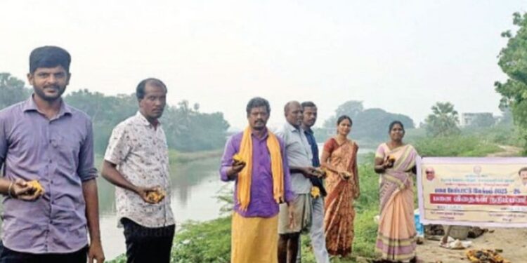 ஆற்றங்கரைகளைப் பலப்படுத்த பனை விதை நடவு அவசியம்