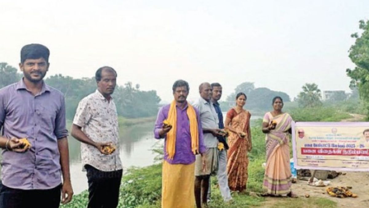 ஆற்றங்கரைகளைப் பலப்படுத்த பனை விதை நடவு அவசியம்