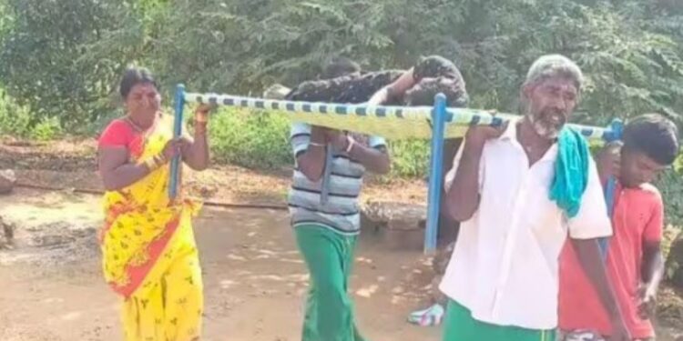 நோய்வாய்ப்பட்ட பெண் மற்றும் கர்ப்பிணியை கட்டிலில் சுமந்து ஓடை வழியே தூக்கிச் சென்ற சோகம்!