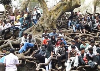 கொடைக்கானல் சுற்றுலா தளங்கள் டிட்வா புயல் காரணமாக மூடப்பட்டபின் மீண்டும் திறப்பு