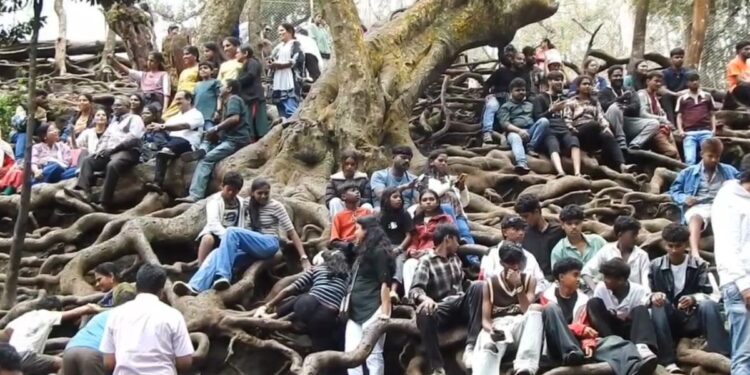 கொடைக்கானல் சுற்றுலா தளங்கள் டிட்வா புயல் காரணமாக மூடப்பட்டபின் மீண்டும் திறப்பு