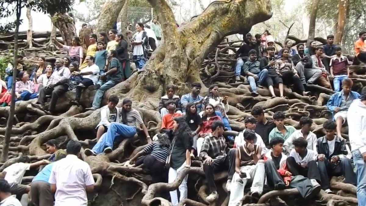 கொடைக்கானல் சுற்றுலா தளங்கள் டிட்வா புயல் காரணமாக மூடப்பட்டபின் மீண்டும் திறப்பு