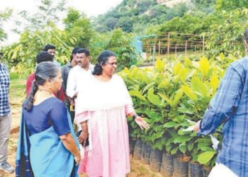 திண்டுக்கல் மாவட்ட வளர்ச்சிப் பணி  ரூ.7 கோடி பாலம் உட்படப் பல திட்டங்களைத் திட்ட இயக்குநர் நேரில் ஆய்வு!