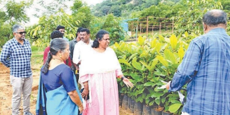 திண்டுக்கல் மாவட்ட வளர்ச்சிப் பணி  ரூ.7 கோடி பாலம் உட்படப் பல திட்டங்களைத் திட்ட இயக்குநர் நேரில் ஆய்வு!