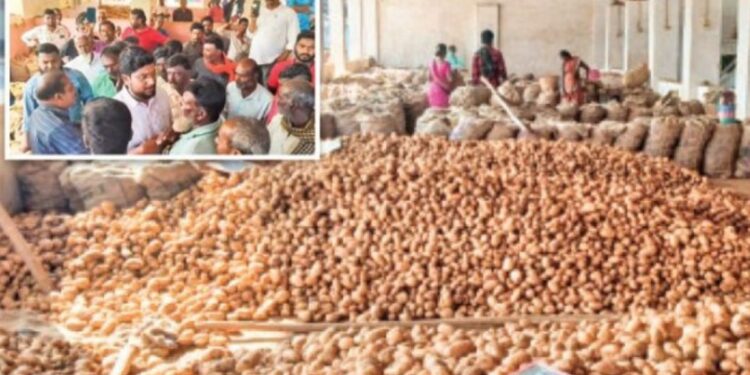 உருளைக்கிழங்கு விலை வீழ்ச்சி: மேட்டுப்பாளையம் ஏலம் பாதியில் நிறுத்தம்!