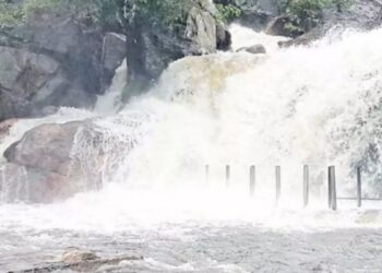 திருமூர்த்தி மலை பஞ்சலிங்க அருவியில் காட்டாற்று வெள்ளம்