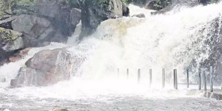 திருமூர்த்தி மலை பஞ்சலிங்க அருவியில் காட்டாற்று வெள்ளம்