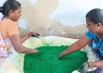 மார்கழியை முன்னிட்டு சாத்தூரில் வண்ணக் கோலப்பொடி தயாரிப்பு