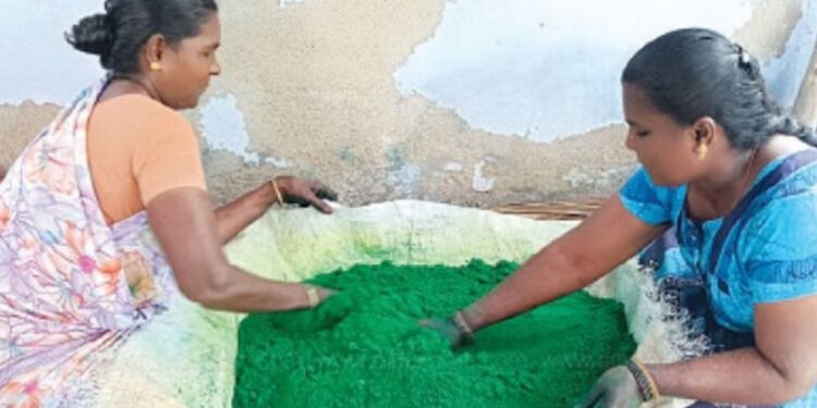 மார்கழியை முன்னிட்டு சாத்தூரில் வண்ணக் கோலப்பொடி தயாரிப்பு