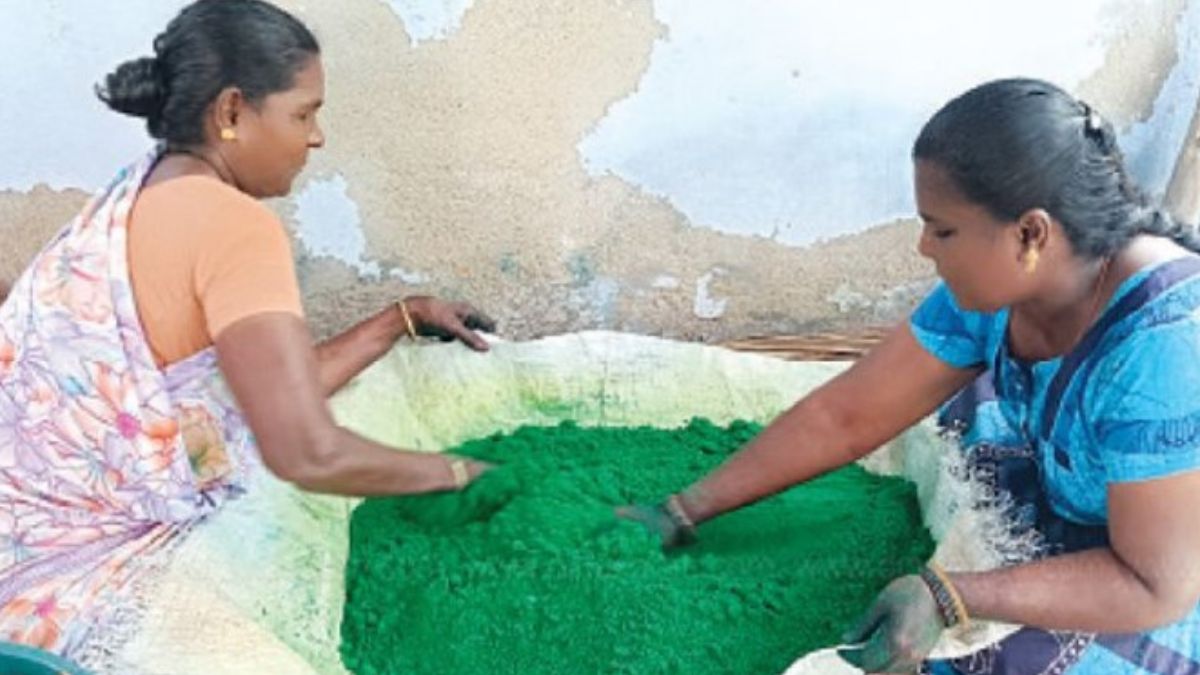 மார்கழியை முன்னிட்டு சாத்தூரில் வண்ணக் கோலப்பொடி தயாரிப்பு