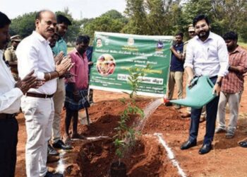 பசுமைப் பரப்பை அதிகரிக்கத் தேனியில் மரக்கன்று நடும் விழா: மாவட்ட ஆட்சியர் ரஞ்ஜீத் சிங் தொடங்கி வைத்தார்