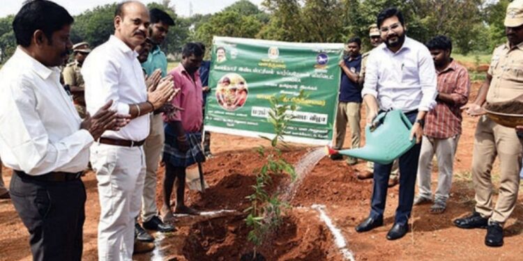 பசுமைப் பரப்பை அதிகரிக்கத் தேனியில் மரக்கன்று நடும் விழா: மாவட்ட ஆட்சியர் ரஞ்ஜீத் சிங் தொடங்கி வைத்தார்