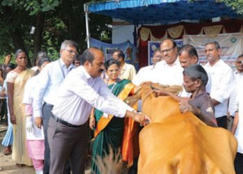 நெல்லை மாவட்டத்தில் 1.41 லட்சம் மாடுகளுக்குக் கோமாரி நோய் தடுப்பூசி ஆட்சியர் தொடங்கி வைத்தார்!