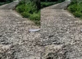 விதிமீறும் கிரஷர்களால் திணறும் கொத்தப்புள்ளி காற்று மாசு மக்கள் அவதி!