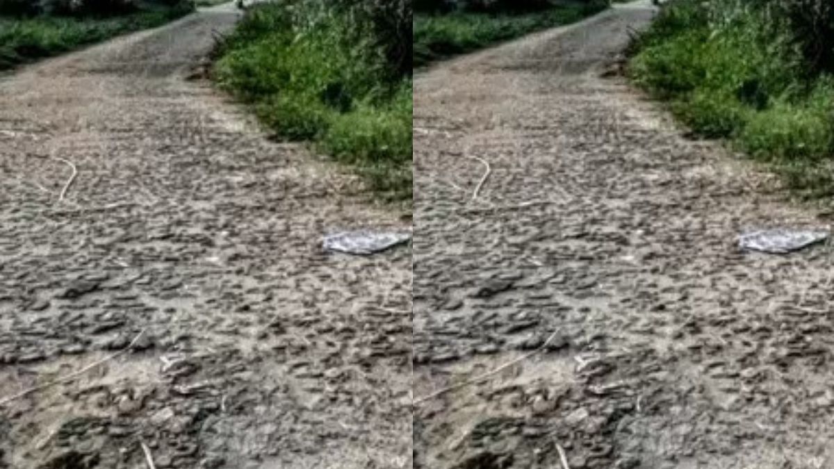 விதிமீறும் கிரஷர்களால் திணறும் கொத்தப்புள்ளி காற்று மாசு மக்கள் அவதி!