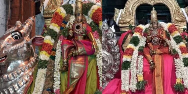 மதுரை மீனாட்சி அம்மன் கோவில்: டிசம்பர் 25 முதல் எண்ணெய் காப்பு உற்சவம்