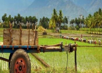 பெண்களைத் தலைமையாகக் கொண்ட ‘நன்குடி வேளாளர்’ சமூகம்: மாப்பிள்ளை வீடு மாறும் அதிசயப் பாரம்பரியம்!