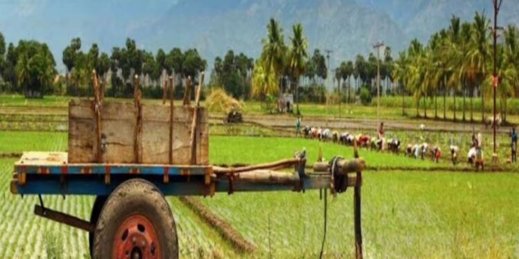 பெண்களைத் தலைமையாகக் கொண்ட ‘நன்குடி வேளாளர்’ சமூகம்: மாப்பிள்ளை வீடு மாறும் அதிசயப் பாரம்பரியம்!