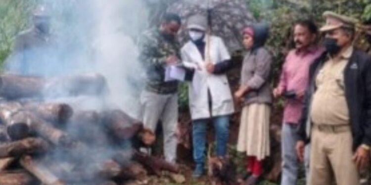 பாறை இடுக்கில் அழுகிய நிலையில் சிறுத்தை உடல் கண்டெடுப்பு