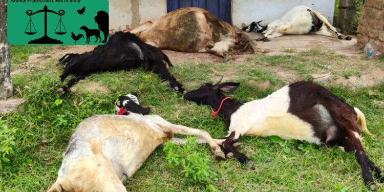 கால்நடைகள் மீது விஷம் வைத்து கொலை கூலி வேலை செய்பவர் கைது