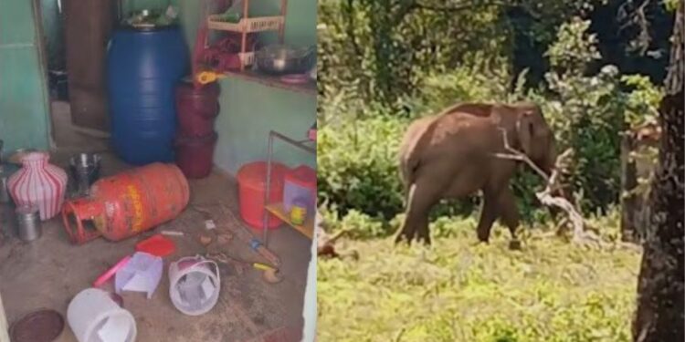 தடாகம் பகுதியில் ‘வேட்டையன்’ யானையின் அட்டகாசம் வீட்டின் கதவை உடைத்து சர்க்கரை உண்ட சுவாரஸ்யம்