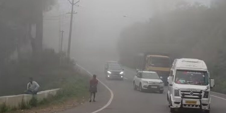 போடிமெட்டில் நிலவும் கடும் பனிப்பொழிவு முகப்பு விளக்குகளை ஒளிரவிடாமல் பயணிக்கும் வாகனங்களால் விபத்து அபாயம்!