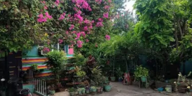 போடியில் ஒரு பசுமைச் சோலை 30 ஆண்டுகளாக 150 வகை செடிகளுடன் ‘மினி’ காடு வளர்க்கும் மருத்துவர் தம்பதி