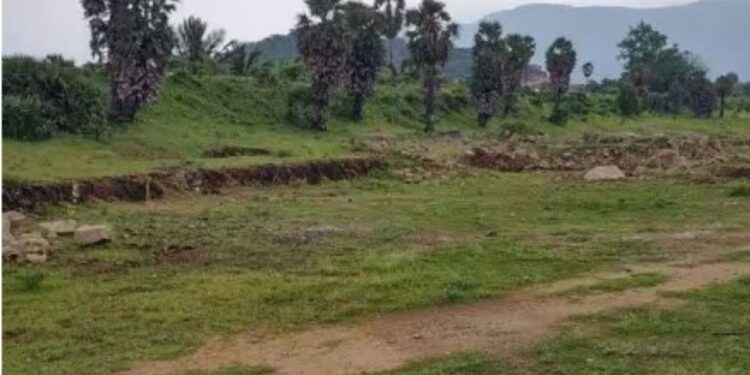 தூர்வாரப்படாத கால்வாயால் வறண்டு கிடக்கும் ஓட்டக்குளம் விவசாயத்தைப் பாதுகாக்க கோரிக்கை!