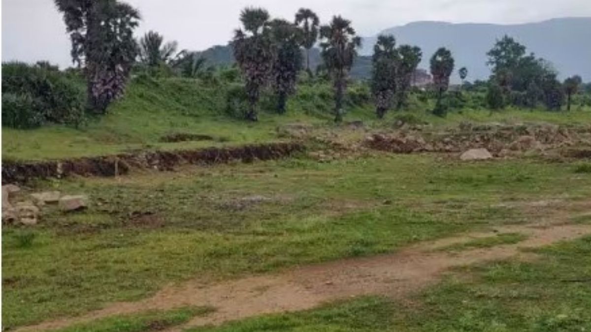 தூர்வாரப்படாத கால்வாயால் வறண்டு கிடக்கும் ஓட்டக்குளம் விவசாயத்தைப் பாதுகாக்க கோரிக்கை!