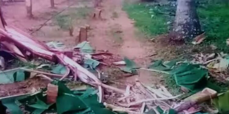 குள்ளப்பகவுண்டன்பட்டியில் காட்டு யானைகள் அட்டகாசம் அகழியை ஆழப்படுத்த விவசாயிகள் கோரிக்கை