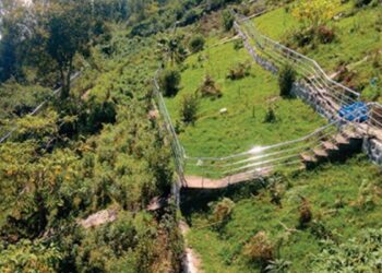 கொடைக்கானலின் அடையாளமான குறிஞ்சித் தோட்டம் பராமரிப்பின்றி அழிவு  புதர் மண்டி கிடக்கும் பூங்காவைச் சீரமைக்கக் கோரிக்கை