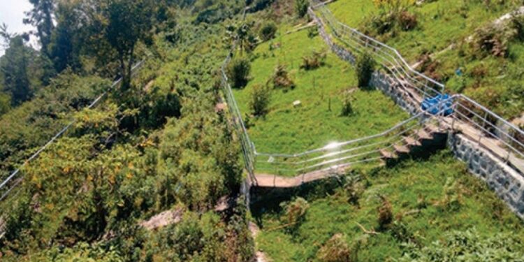 கொடைக்கானலின் அடையாளமான குறிஞ்சித் தோட்டம் பராமரிப்பின்றி அழிவு  புதர் மண்டி கிடக்கும் பூங்காவைச் சீரமைக்கக் கோரிக்கை