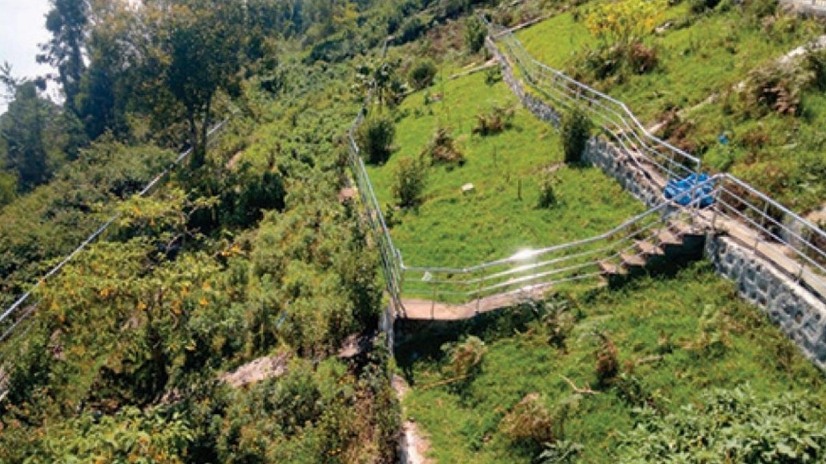 கொடைக்கானலின் அடையாளமான குறிஞ்சித் தோட்டம் பராமரிப்பின்றி அழிவு  புதர் மண்டி கிடக்கும் பூங்காவைச் சீரமைக்கக் கோரிக்கை