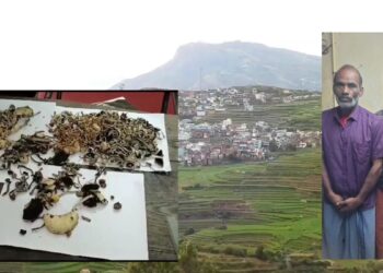  கொடைக்கானல் கும்பூரில் போதை காளான் விற்பனை: சுற்றுலாப் பயணிகளை குறிவைத்த இருவர் கைது