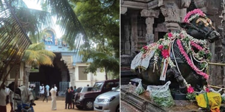 ஜடாமுடியுடன் காட்சியளிக்கும் அதிசயச் சிவலிங்கம்  1000 ஆண்டுகள் பழமையான சிவசைலநாதர் வரலாற்றுப் பின்னணி