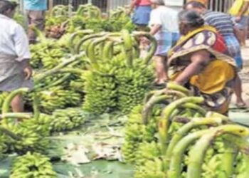 கரூரில் கடும் பனிப்பொழிவால் வாழை வரத்து குறைவு  விலை உயர்ந்ததால் விவசாயிகள் மகிழ்ச்சி