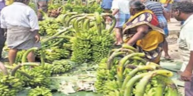 கரூரில் கடும் பனிப்பொழிவால் வாழை வரத்து குறைவு  விலை உயர்ந்ததால் விவசாயிகள் மகிழ்ச்சி