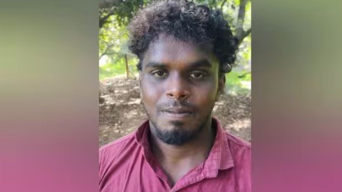 பாலமேட்டில் மா மரங்களில் ‘விரியன்’ பூச்சித் தாக்குதல் விவசாயிகள் தீவிர மருந்து தெளிப்பு!