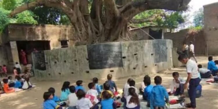 எருமப்பட்டி அரசுப் பள்ளியில் அரச மரத்தடி மாணவர் வாசிப்பு வட்டம்