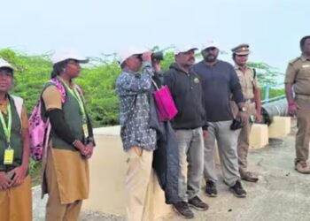 கரூர் மாவட்டத்தில் காவிரி ஆற்றுப் பகுதியில் அரிய வகை நீர்வாழ் பறவைகள் வருகை!