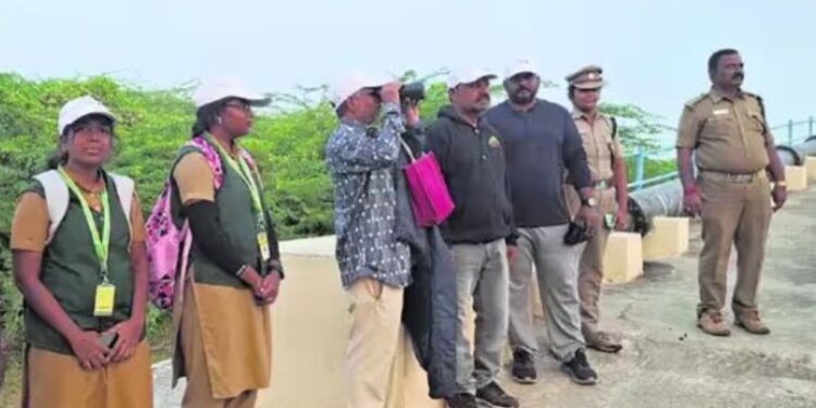 கரூர் மாவட்டத்தில் காவிரி ஆற்றுப் பகுதியில் அரிய வகை நீர்வாழ் பறவைகள் வருகை!