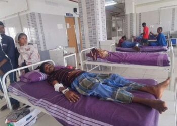 கீழ்வேளூர் கடைவீதியில் வெறிநாய் அட்டகாசம்  முதியவர் உள்பட 8 பேருக்கு நேர்ந்த கொடூர பாதிப்பு