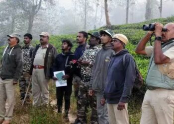 பிதர்காடு வனச்சரகத்தில் பறவைகள் கணக்கெடுப்பு பனித்துளிகளுக்கு மத்தியில் தென்பட்ட அரிய வகை ‘மலபார் கிளிகள்’!