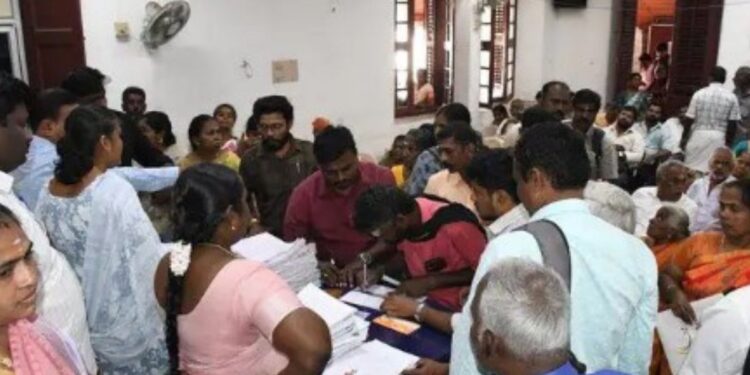 பொள்ளாச்சியில் விபத்து நிவாரணத் தொகை வழங்க நடவடிக்கை ஆவணங்கள் சரிபார்ப்பு