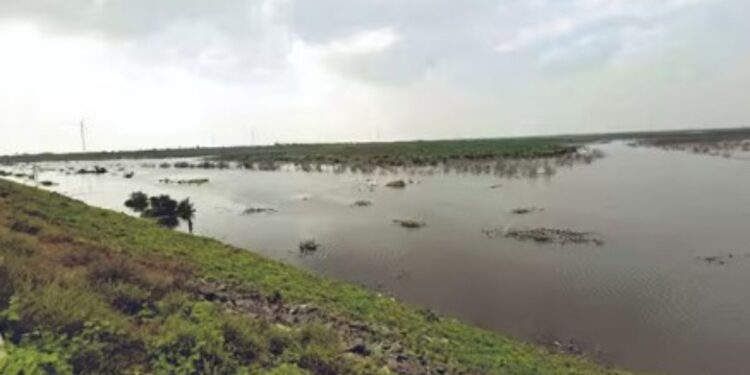 வட்டமலைக்கரை அணைக்கு நீர் வரத்து தீவிரம்  6,000 ஏக்கர் பாசன நிலங்கள் பயன்பெற வாய்ப்பு