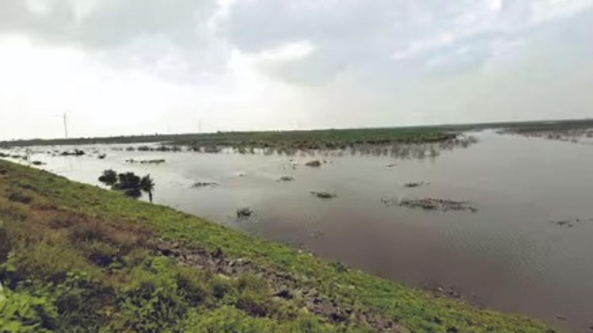 வட்டமலைக்கரை அணைக்கு நீர் வரத்து தீவிரம்  6,000 ஏக்கர் பாசன நிலங்கள் பயன்பெற வாய்ப்பு