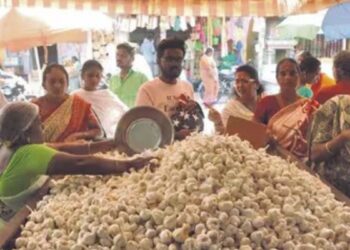 ஈரோட்டில் எகிறியது பூண்டு விலை ஒரு வாரத்தில் 300-ஐ தொட்டதால் இல்லத்தரசிகள் அதிர்ச்சி