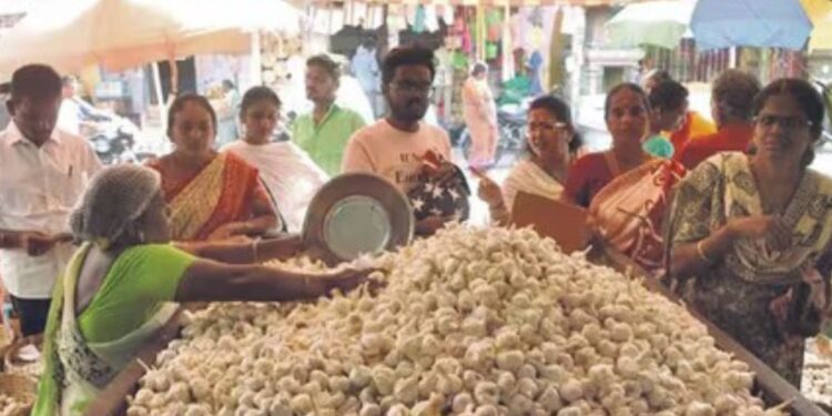 ஈரோட்டில் எகிறியது பூண்டு விலை ஒரு வாரத்தில் 300-ஐ தொட்டதால் இல்லத்தரசிகள் அதிர்ச்சி